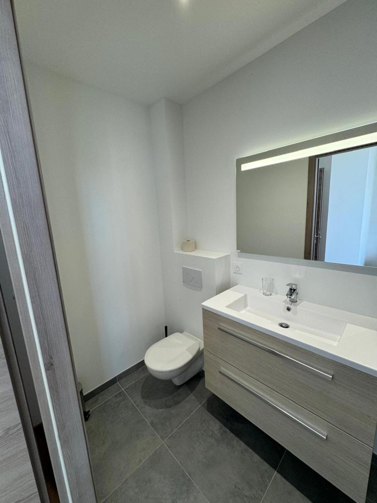 Studio Avec Wc Et Sdb Prives Dans Grande Maison A Cote Du Campus Artem - Thermal Et Parc Des Expos Vandoeuvre-lès-Nancy Buitenkant foto
